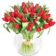 50 Red Tulips