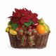Pointsettia and Fruit Gift Basket